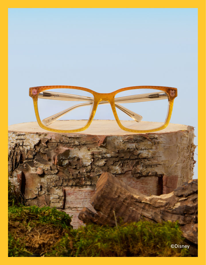 Winnie the Pooh Pair Eyewear collection